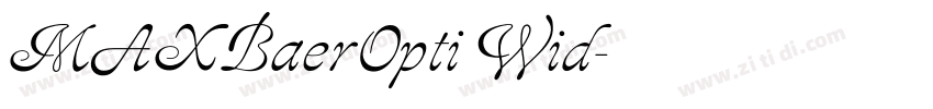 MAXBaerOpti Wid字体转换